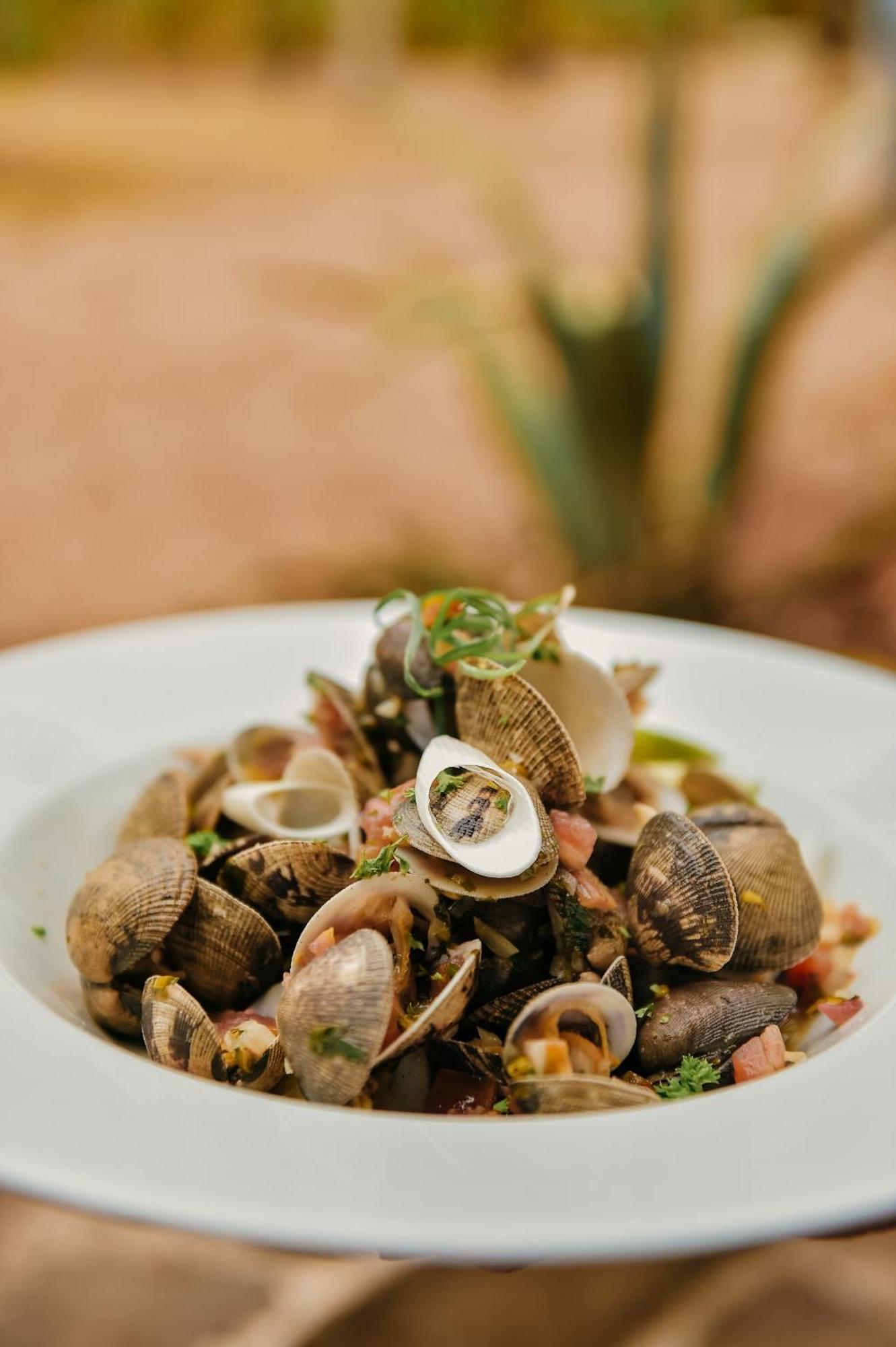 Villa Coco 산타 카탈리나 외부 사진